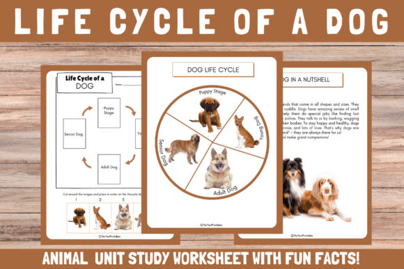 Understanding the Life Cycle of a Dog and Animal Life Cycle