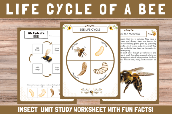 Unlocking the Wonders of Nature: A Guide to the Life Cycle of a Bee Unit Study Worksheet
